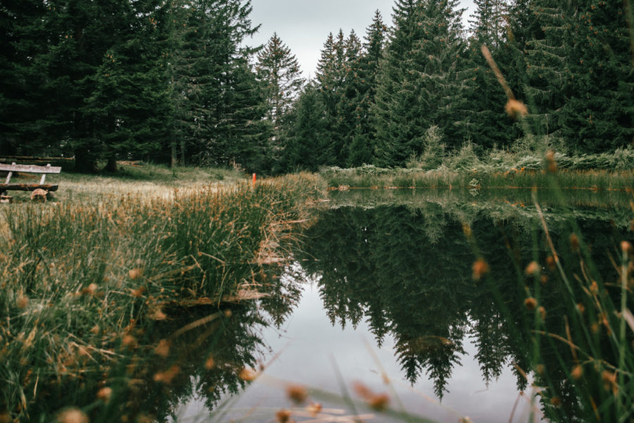 Petit lac de Pian di Nar