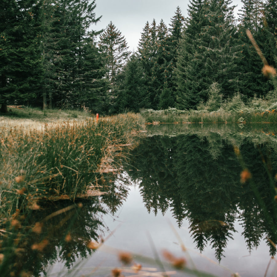 Petit lac de Pian di Nar